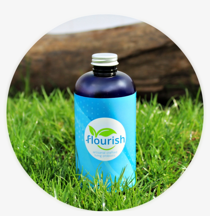 Plastic Bottle, transparent png download