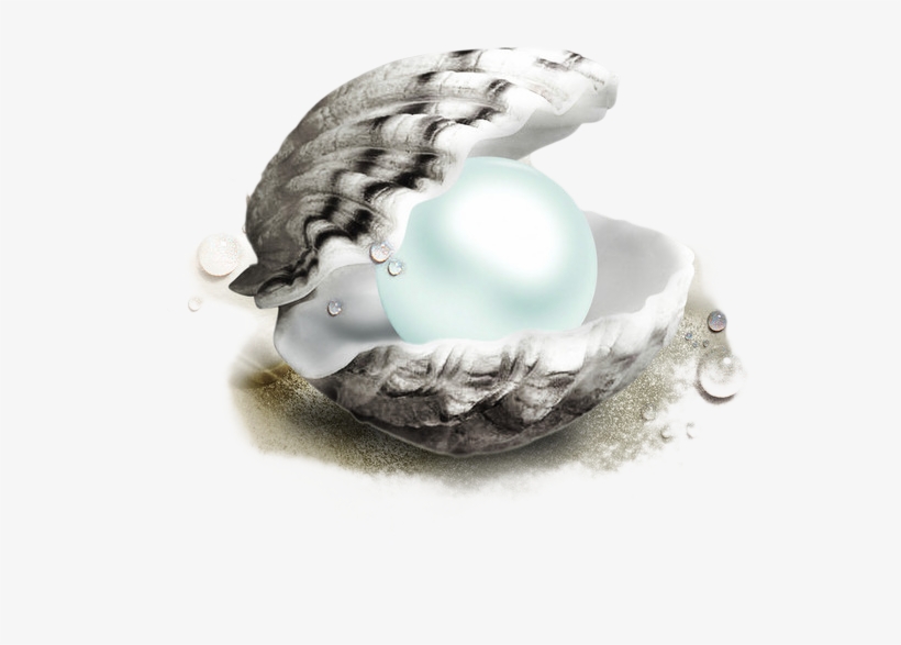 And Waterproofing Shells Pearls Smartwatch Pearl Android - 黑 珍珠, transparent png download