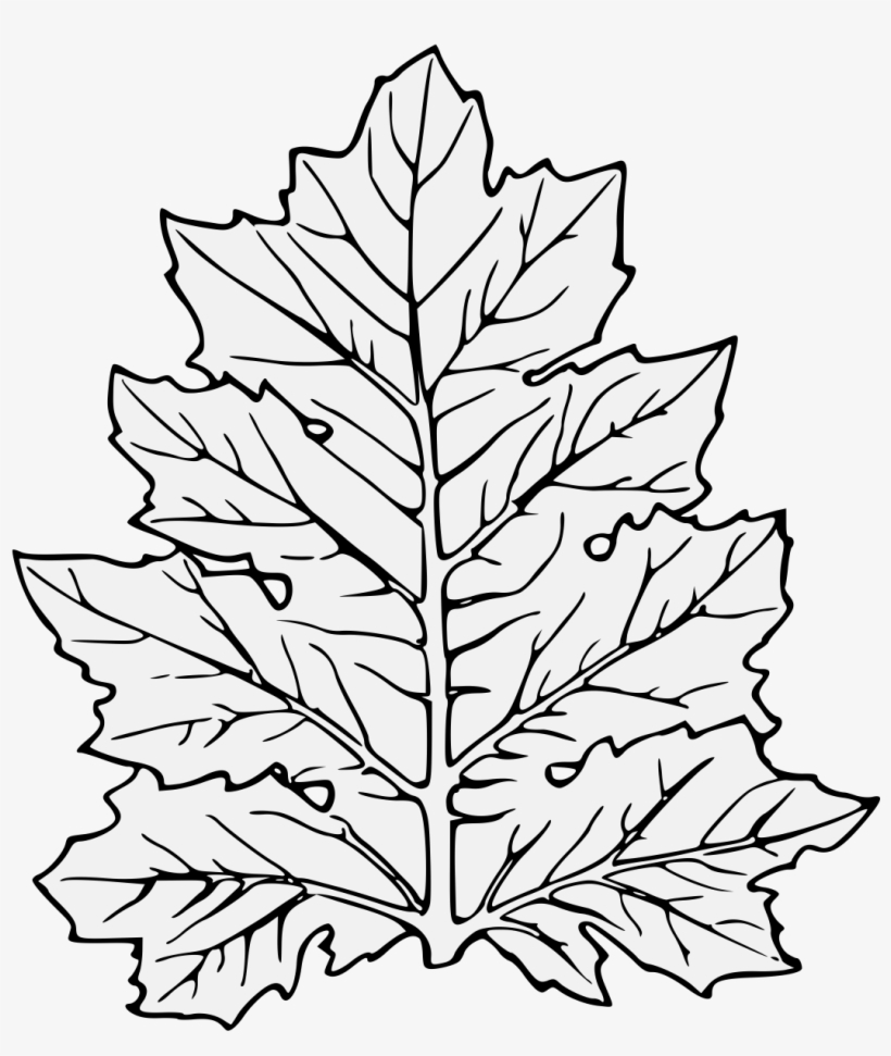 Acanthus Leaf - Leaf Clip Art, transparent png download