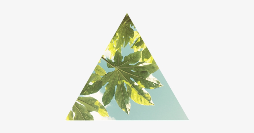 Click And Drag To Re-position The Image, If Desired - Triangle, transparent png download