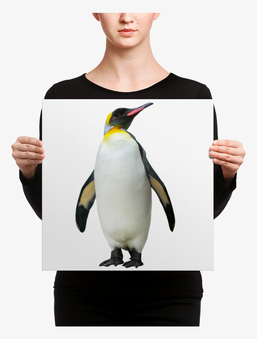 Emperor-penguin Canvas - Canvas Print, transparent png download