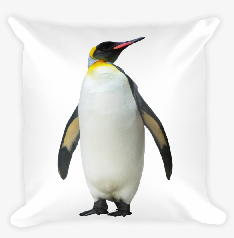 Emperor-penguin Print Square Pillow - King Penguin, transparent png download