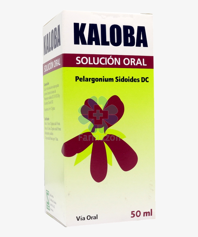 Kaloba Solución Oral Para Gotas 0,8 Gr/ml X 50 Ml - Kaloba 50 Ml, transparent png download