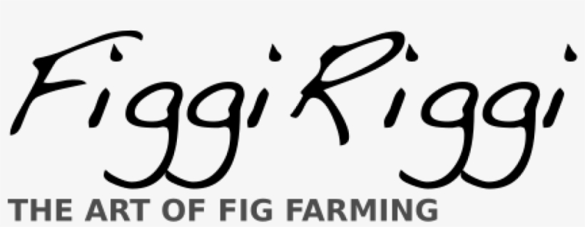 American Childhood Cancer Organization, transparent png download