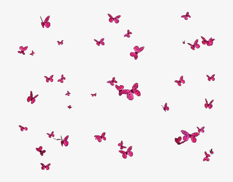 Postado Por Fotos Png Do Carrossel E Capas Às - Borboletas Png Fundo Transparente, transparent png download