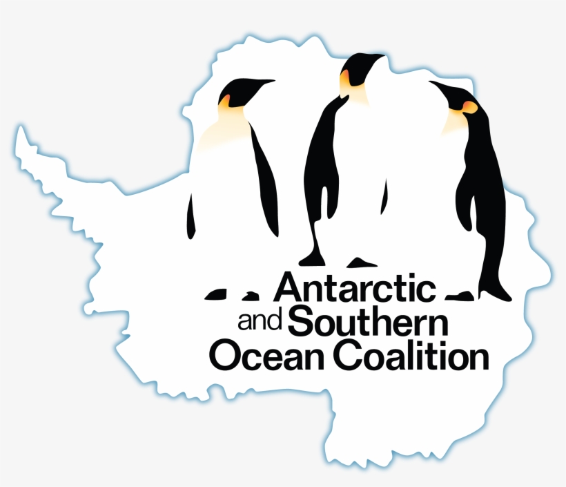 Ngos In Antarctica, transparent png download