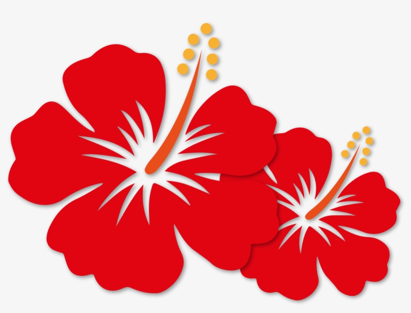 National Principle - Clipart Hibiscus Png, transparent png download