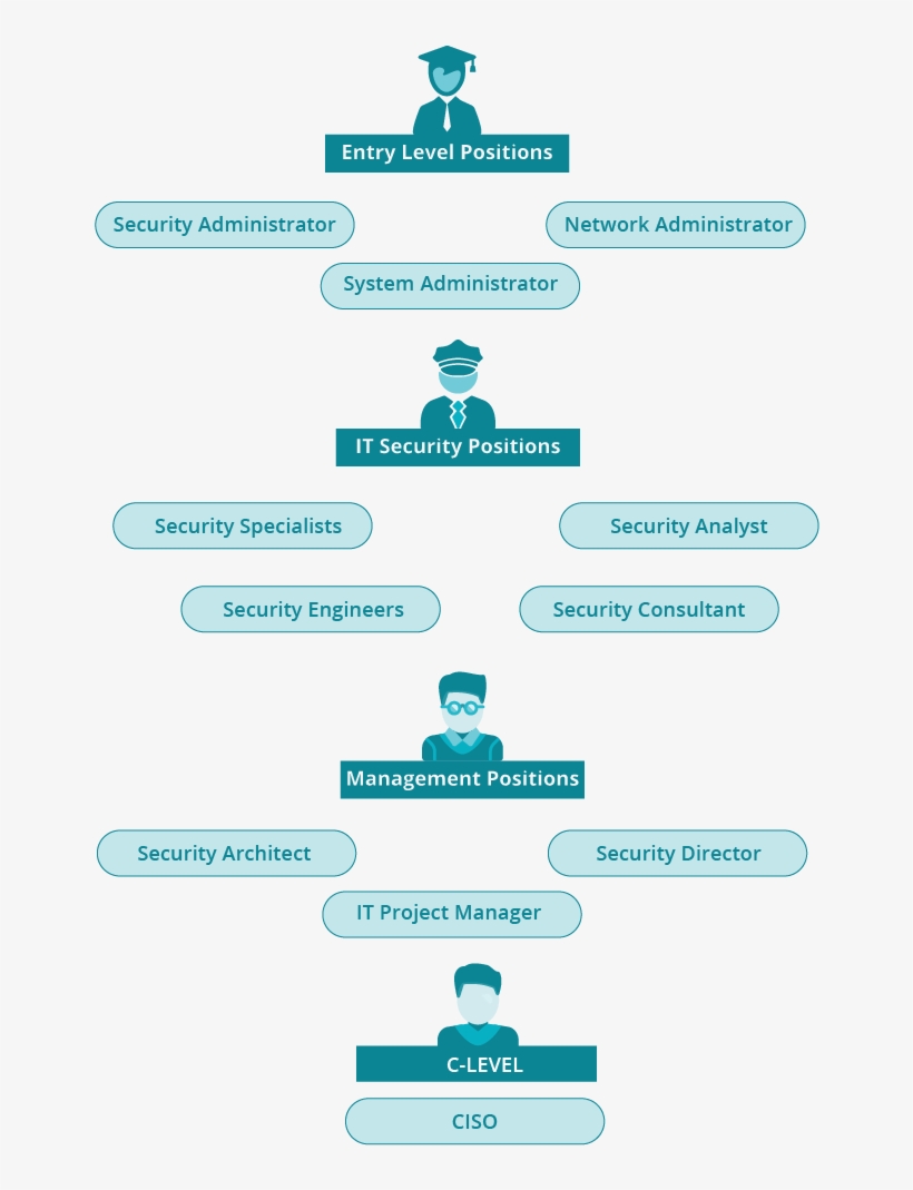 Career Path Security Architect C Level Career Paths PNG Image Transparent PNG Free Download