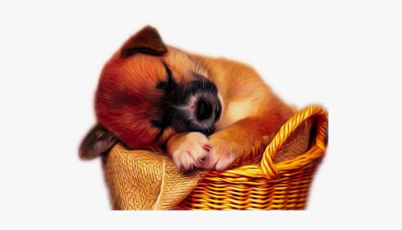 Animals Clipart Png,cartoon Animals Png,cute Animal - Cute Png Cartoon Animals, transparent png download