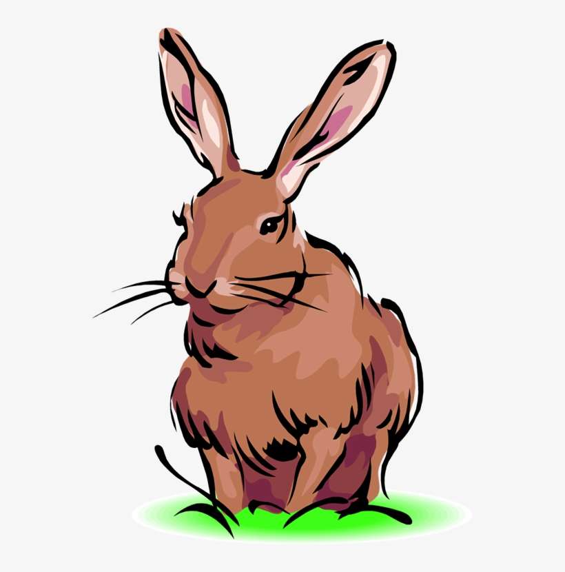 Cute Clipart Wild Animal - Definition Of Hare, transparent png download