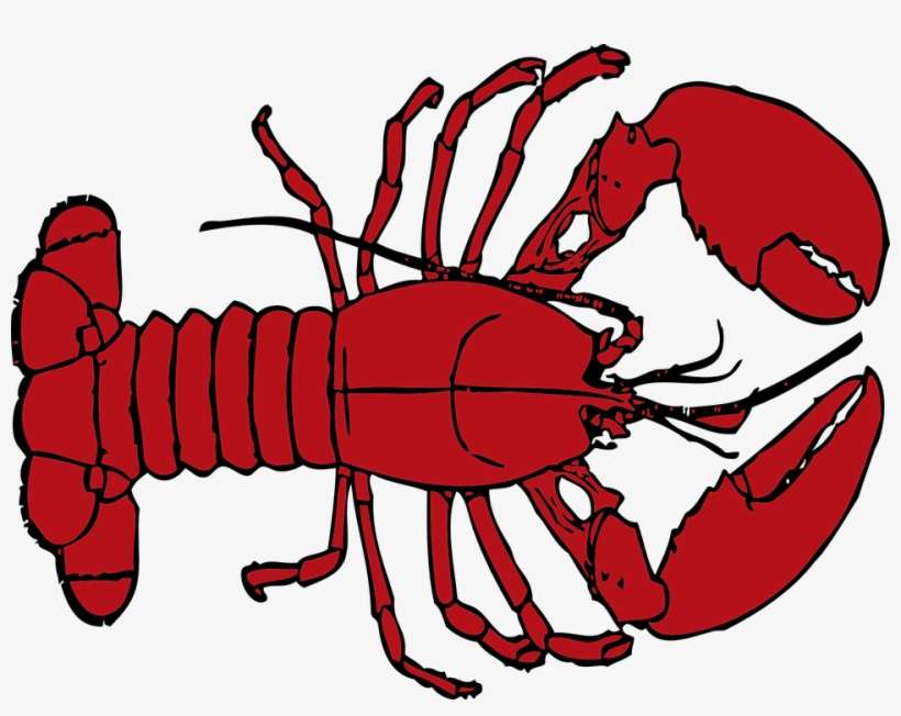 Image - Lobster Clipart Transparent Background, transparent png download