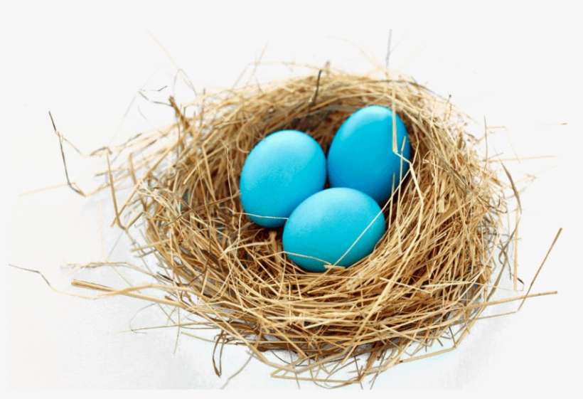 Free Png Nest Png Images Transparent - Bird Nest Png, transparent png download