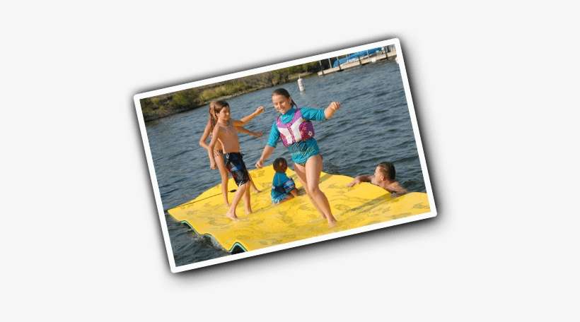 Lilypad, transparent png download