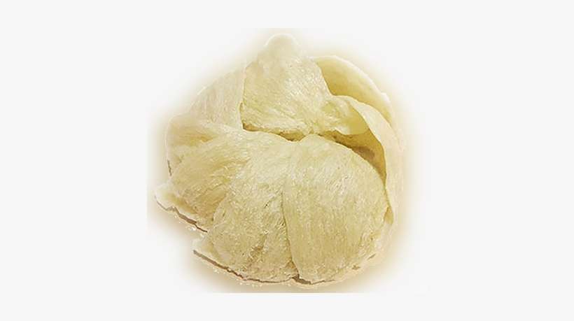 About Sumatra Birds Nest - Helado Papa, transparent png download