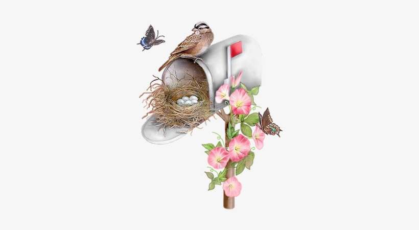 Sparrow-mailbox - Sparrow Nest Art Clip, transparent png download