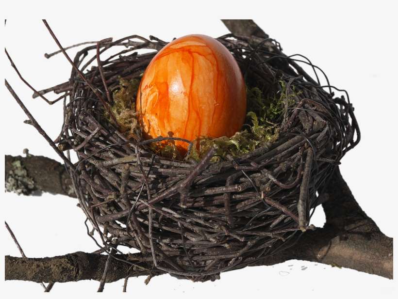 Bird's Nest, Nest, Easter Nest, Easter Decoration - Bird Nest, transparent png download
