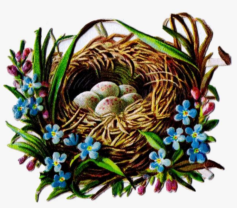 Free Printable Bird Nest Clip Art Royalty Free Antique - Bird Nest, transparent png download