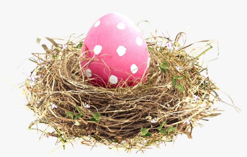Easter Transprent Png Free Download Egg - Birds Nest, transparent png download