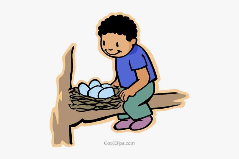 Boy With Bird Nest, Bird Eggs Royalty Free Vector Clip - Nest With Boy Clipart Png, transparent png download