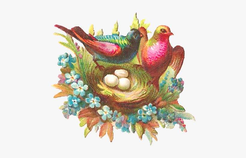 Even Though It's Thursday, Today I'm Posting The Final - Victorian Birds And Nests 101 Collage Sheet, transparent png download