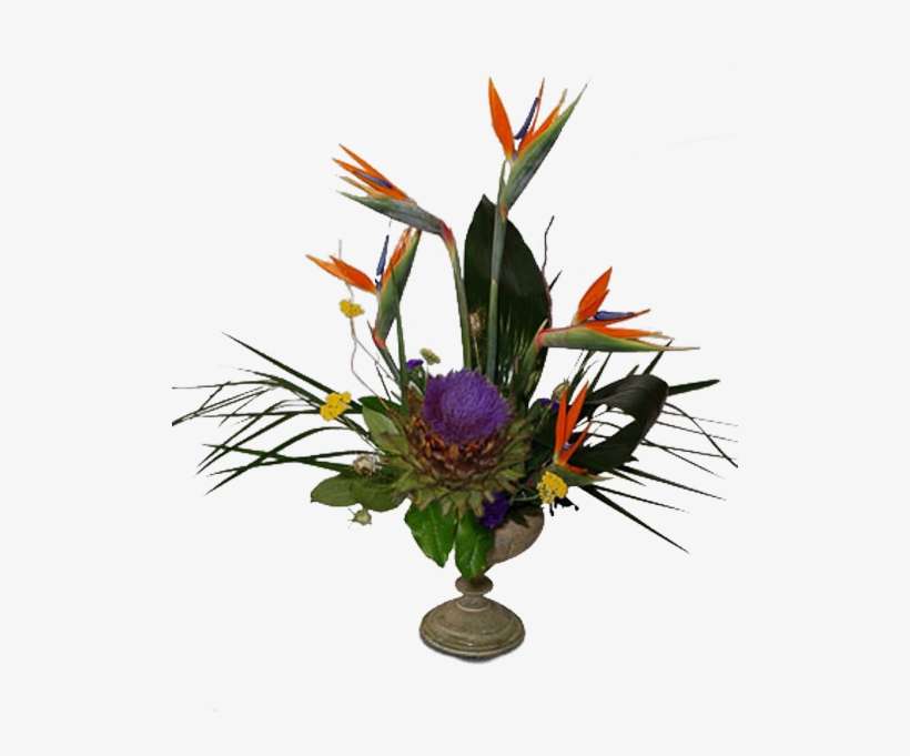 Artichoke Bird Nest - Flower, transparent png download