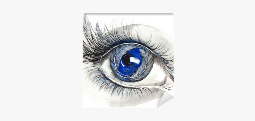 Human Eye, transparent png download