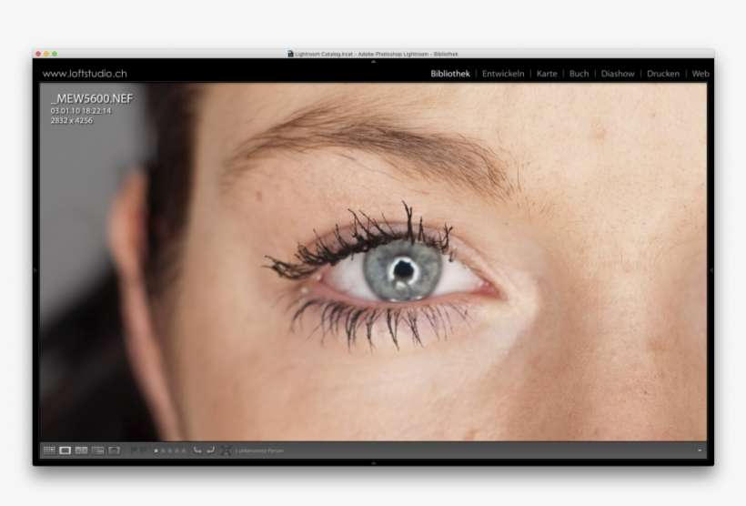 Slight Front Focus With A 50mm / F1 - Close-up, transparent png download