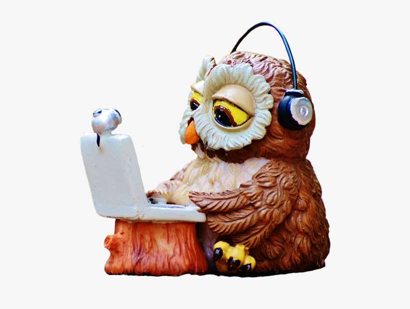 Best Headphones Under - Coruja Computador Png, transparent png download