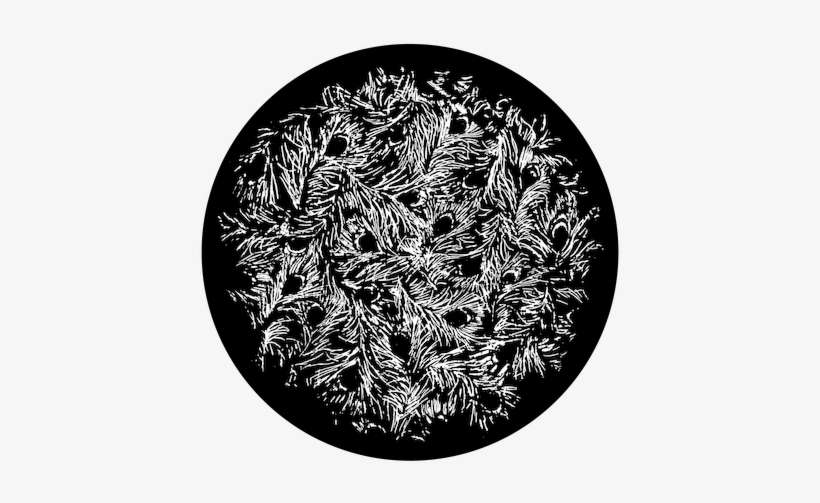 Apollo Design Sr-6180 Feather Lace B&w Superresolution - Lace, transparent png download
