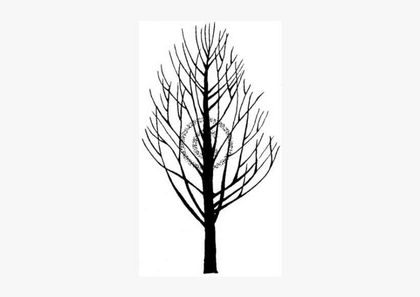 Silhouette, transparent png download