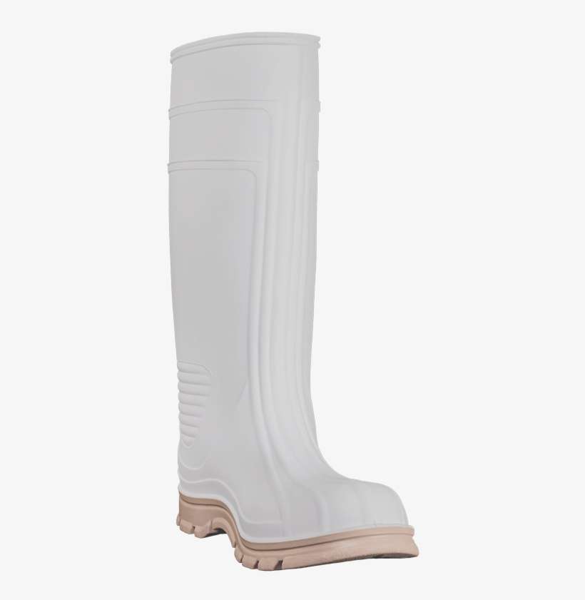 Shrimp Clipart Boot - Riding Boot, transparent png download