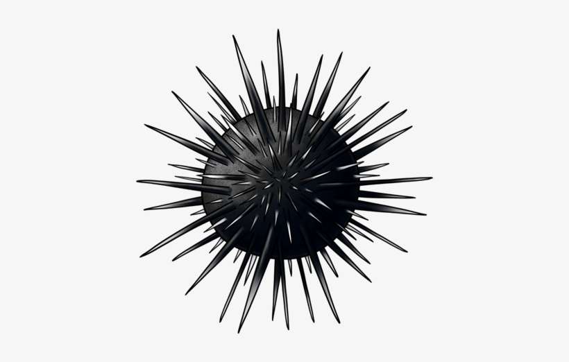 Sibaung Insignia Sea Urchin Ti - Sea Urchin Cartoon Png, transparent png download