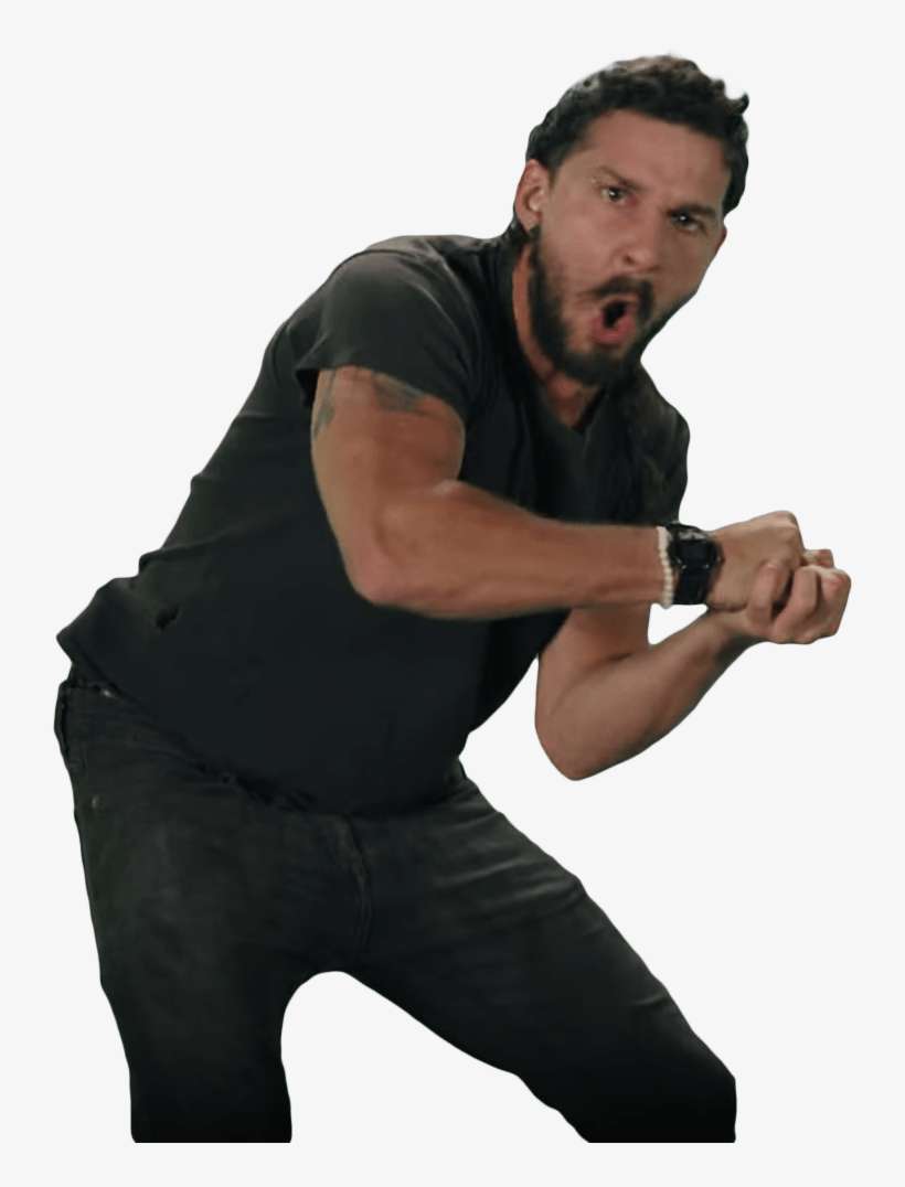 Shia Labeouf Fists - Shia Labeouf Just Do It Transparent, transparent png download