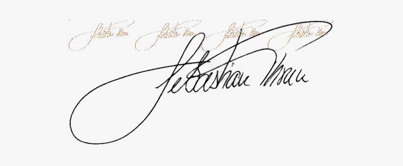 Sebastian Thrun Signature - Sebastian Thrun, transparent png download