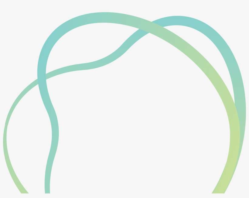 Go On A Digital Detox In The Daintree National Park - Tourism Port Douglas Daintree, transparent png download