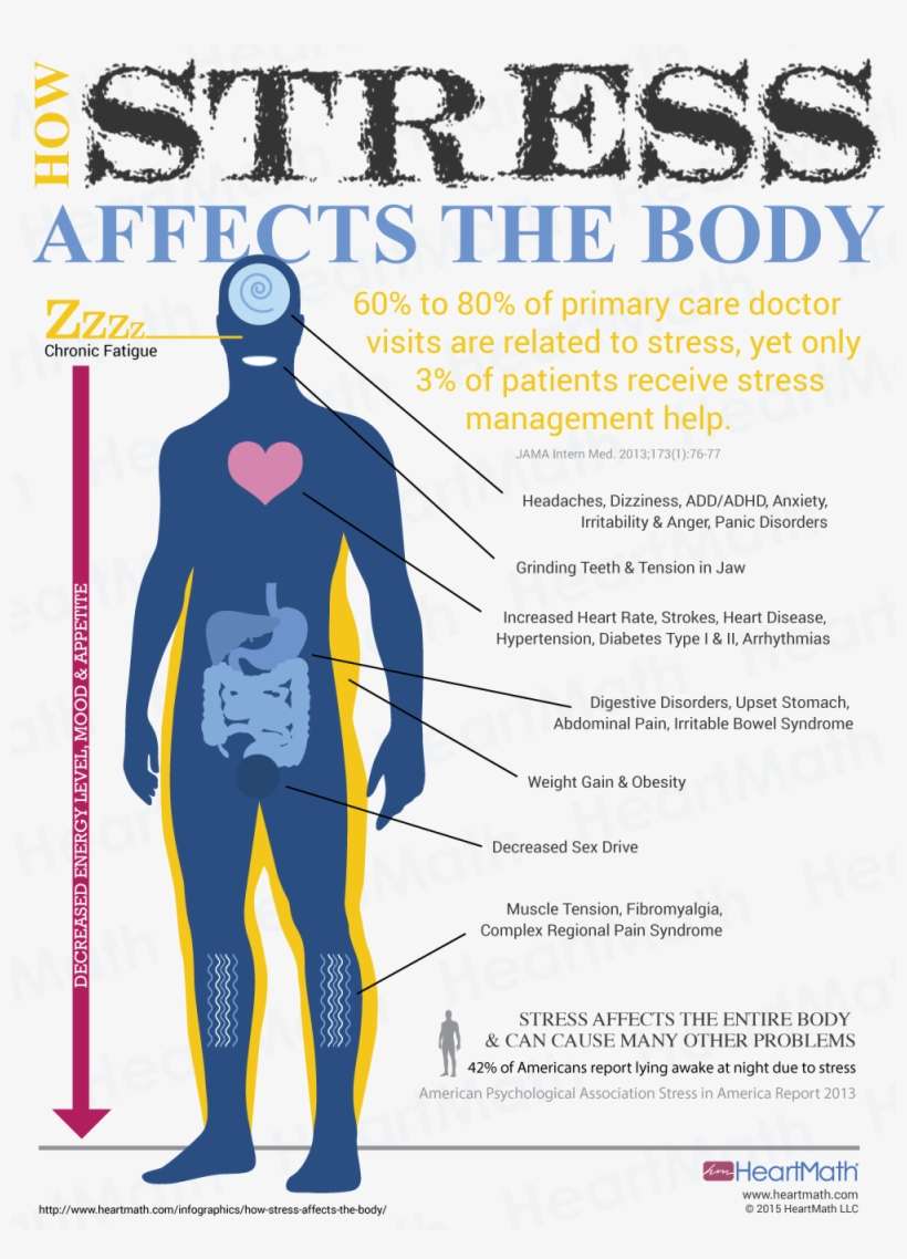 The American Medical Association States That Stress - Stress Affects The Body, transparent png download