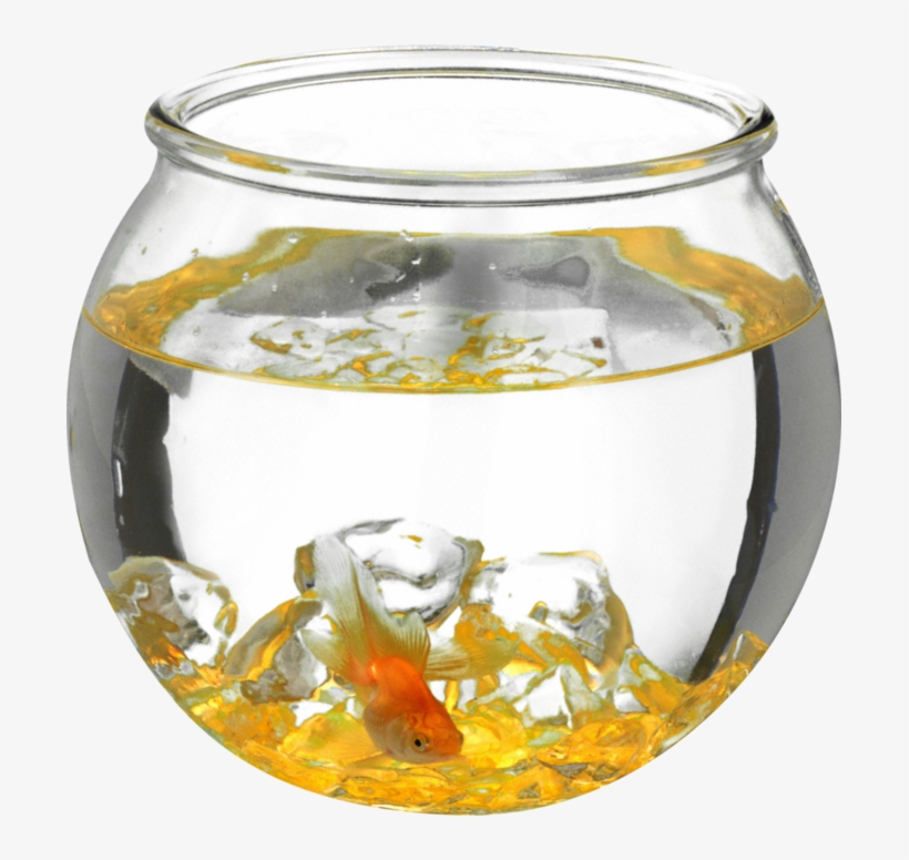 Aquarium Png, Download Png Image With Transparent Background, - Аквариум С Рыбками Пнг, transparent png download