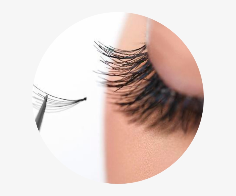 Extenciones De Pestañas - Beautilogy Wellness World, transparent png download