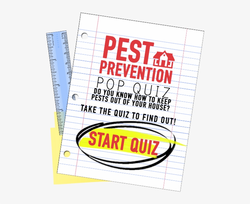 Quizbighover - Poster, transparent png download