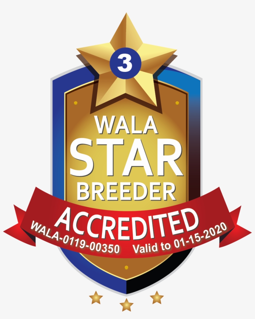 Chase Creek Wala Star Logo - Emblem, transparent png download