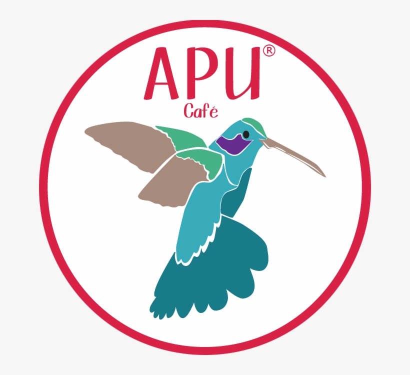 Hummingbird, transparent png download