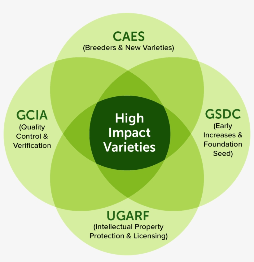 Learn More Systems Approach Infographic - Circle, transparent png download