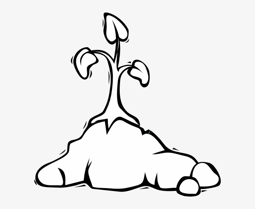 Transparent Garden Clip Art, transparent png download