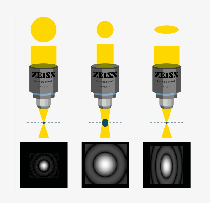The Shape Of The Laser Beam, That Enters The Back Aperture - Laser Aperture, transparent png download