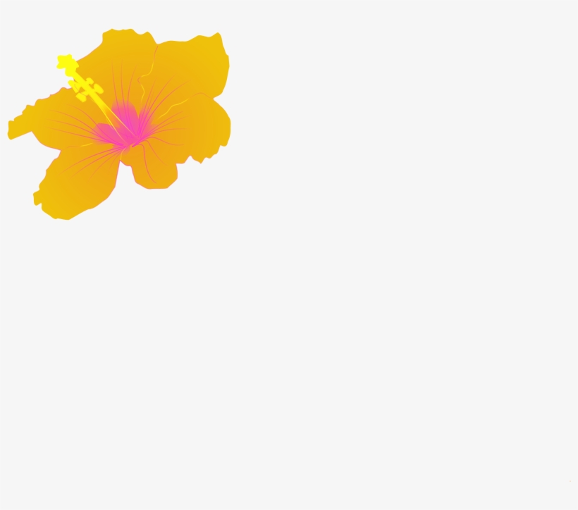 Hibiscus Clip Art, transparent png download