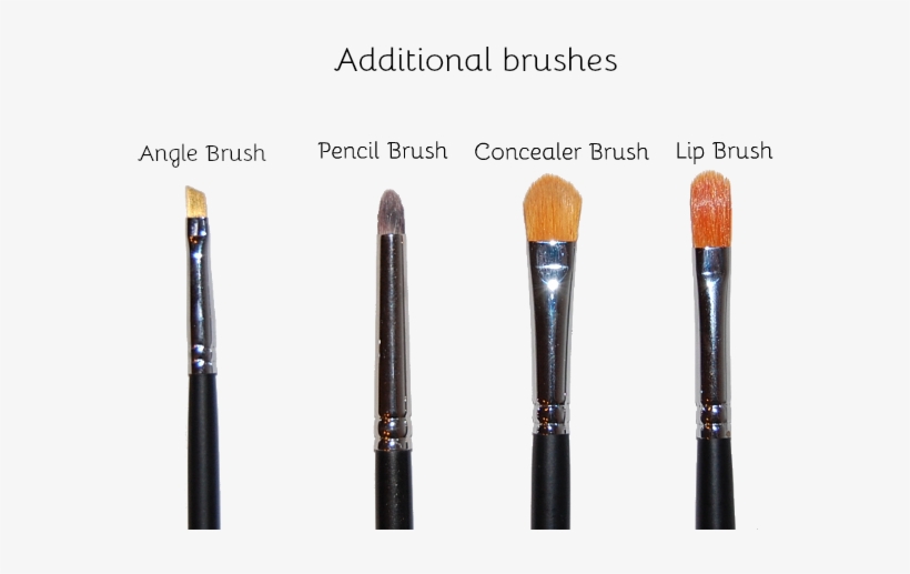 This Brush Is Good For Applying And/or Smudging Eyeliner - Makeup Brushes, transparent png download