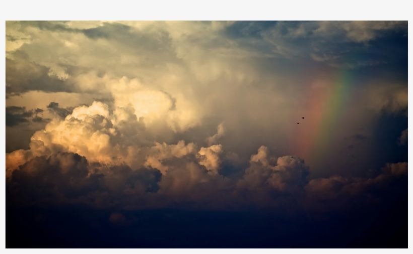 Score 50% - Putin, transparent png download