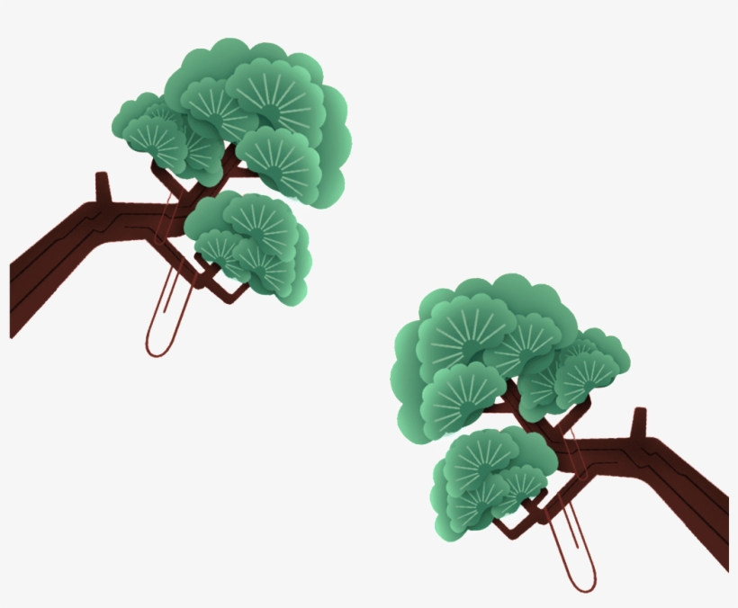 Hand Drawn Pine - 松柏 手繪, transparent png download