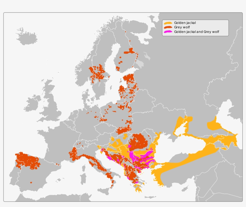 Open - Muslim Majority Area In Europe, transparent png download