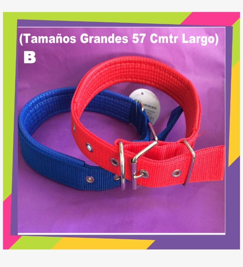 Hpbf6755 - Euro Truck Simulator Gold Edition, transparent png download